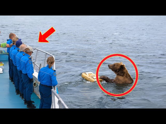 Sailors save a drowning bear, shortly after the whole ship encounters a strange thing