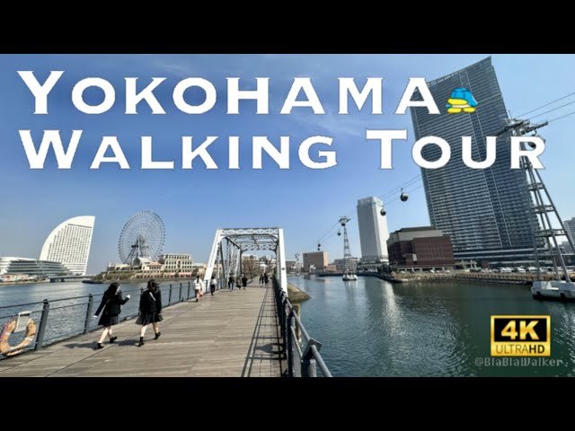 [4K] YOKOHAMA Walking Tour 💛 Near Tokyo / 横浜 桜木町 赤レンガ倉庫 山下公園 ロープウェイ 散歩