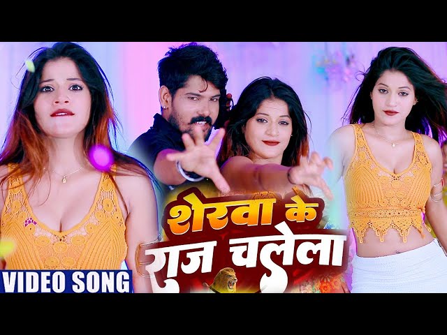 #video शेरवा के राज चलेला  ll Sherwa ke raj chalela || रंगदार से सिख रंगदारी  Bhojpuri song -2024