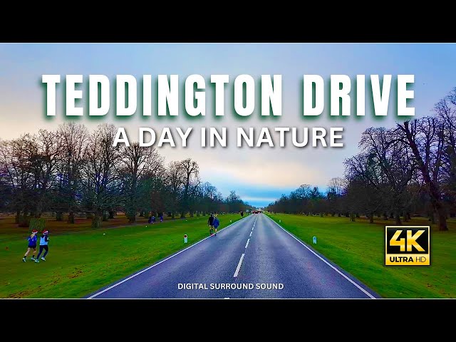 A Serene drive 🚘 on Christmas morning: Bushy Park | Teddington | Hampton Wick | Kingston | England