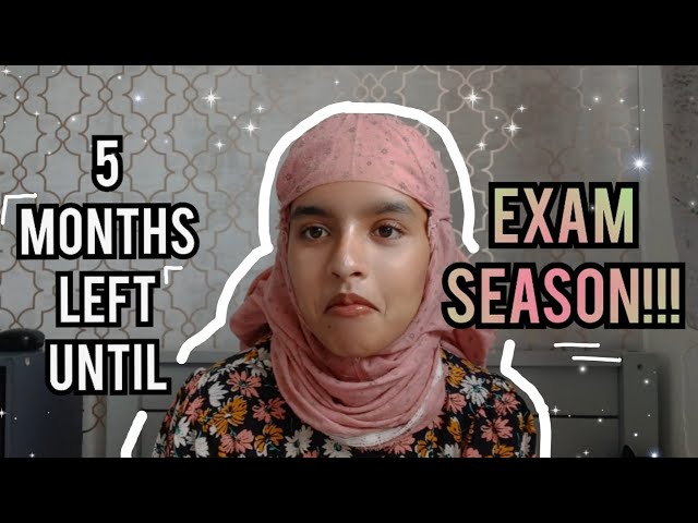 How long I revised and my study routine for my GCSEs that got me TEN grade 9s | 5 months left