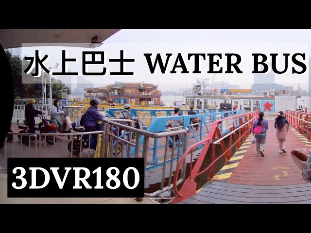 VR180 WATER BUS 【水上巴士沉浸式3DVR】体验｜不是只有观光｜单车摩托也可以坐的通勤巴士