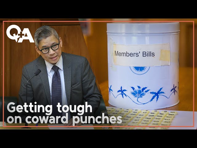 MP's crusade to crack down on coward punches | Q+A 2025