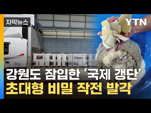 [자막뉴스] '한국 큰일 휘말릴 뻔'... '국제 갱단' 강원도 중간 거점 삼고 벌인 일 / YTN