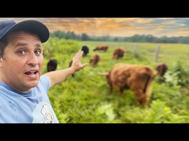 Touring a Vermont Hill Farm | 360 VR Farm Tour