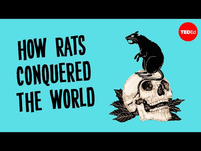 The history of the world according to rats - Max G. Levy