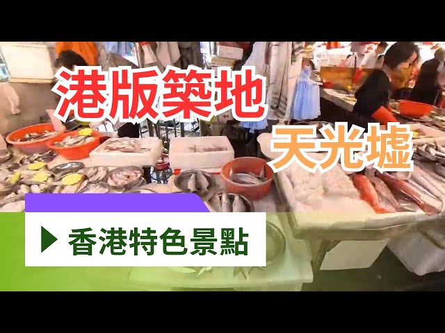 港版築地｜香港仔魚市場｜香港仔避風塘｜鴨脷洲街渡｜船遊避風塘｜天光墟 | 香港仔魚類批發市場｜假日好去處 【廣東話｜中文字幕】