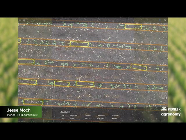 Evaluating Corn Stands with Drones