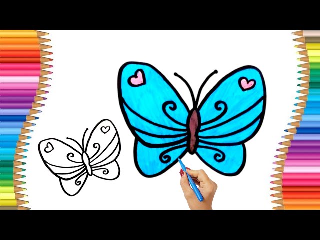 How To Draw A Butterfly 🦋 Drawing And Coloring A Cute Butterfly | Drawing Step By Step For Kids