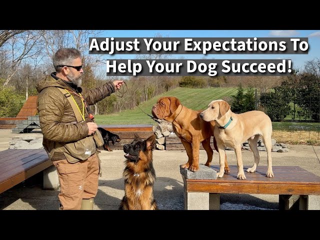 Adjust Your Puppy Training Approach to Match Your Breed | Demonstration With Five Dogs