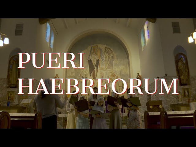 Pueri Haebreorum | Traditional Palm Sunday Hymn | Schola Cantorum Gloriae Dei