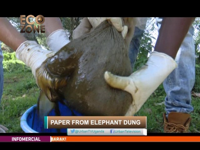 ECOZONE: Paper from Elephant Dung [Part A]