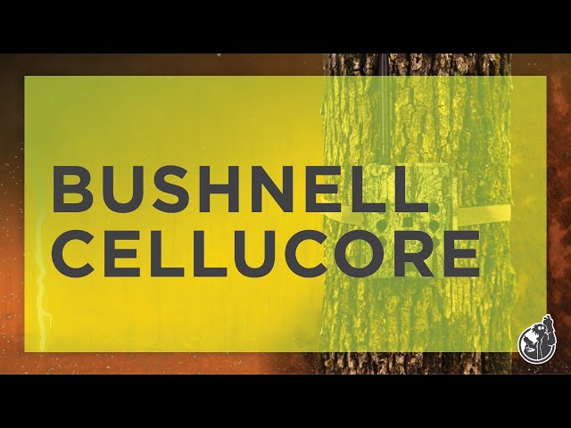 Trail Camera Commercial - “CelluCore” | Bushnell