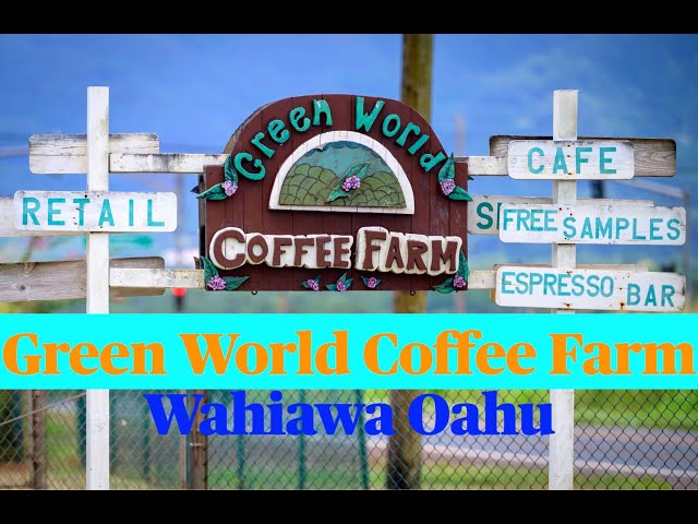 Green World Coffee Farm Oahu