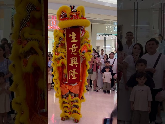 Lion Dance At Ion Orchard 🇸🇬 #shortsfeed #subscribe #shorts #short