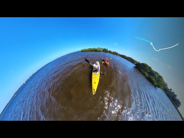 Paddle Manatee - Colony Cove to Ft Hamer - 2024-04-17 - 01/10