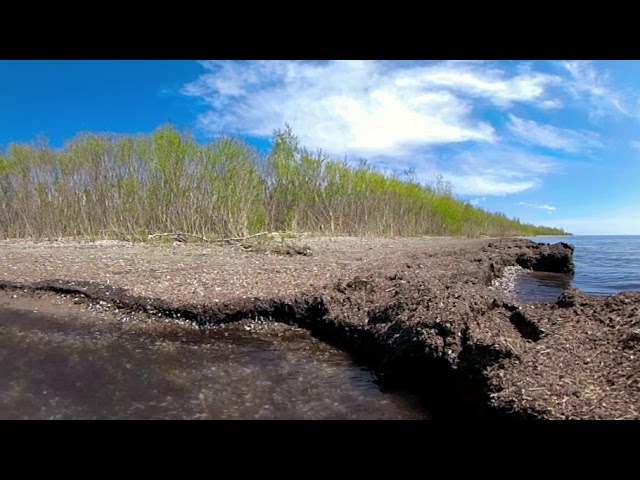 Edge of the World | Shore of Lake Ontario at Presqu'ile Provincial Park