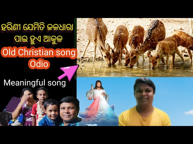 HARINI JEMITI JALADHARA PAIN HUA AAKULA|| ODIA CHRISTIAN SONG | PASTORSUNIL