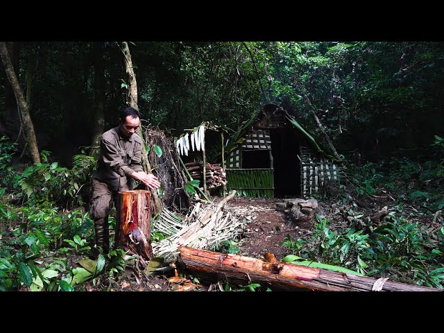 120 hours in the banana forest, drinking water from the core of the banana tree and eating rats