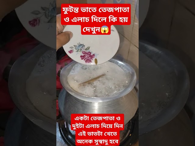 ফুটন্ত ভাতে তেজপাতা ও এলাচ দিলে কি হয় দেখুন 😱 #tips #cookingtips #food #hacks