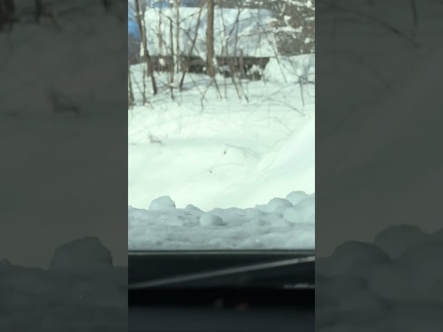 Tad the Sube gets out and back before the plow guy on Bear Hill, Vermont