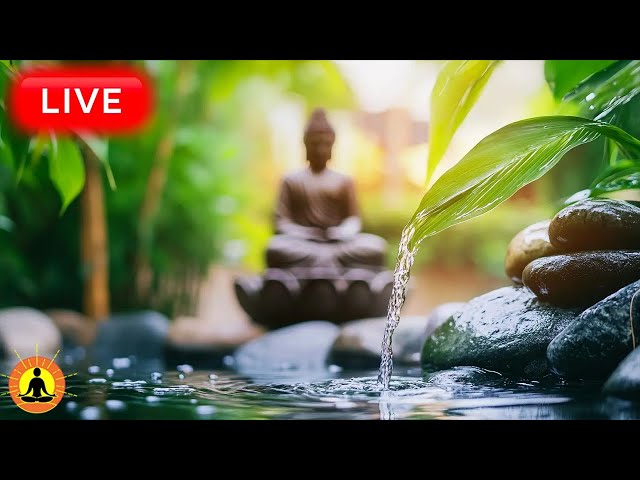 🔴 Relaxing Zen Music 24/7 🌿3233, Stress Relief Music, Sleep Music, Meditation, Study, Nature Sounds