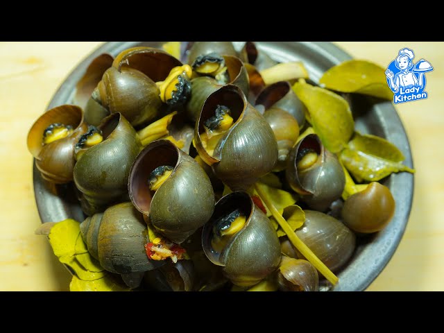 Easy Recipe Tasty The Snail Steam with Spicy Sauce Yummy Yummy | By Lady Kitchen