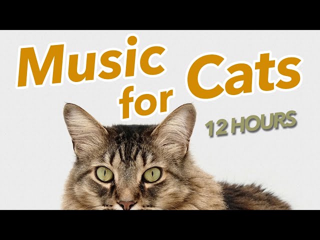 EXTRA LONG Music for Cats - Lullaby Instrumentals Just for Cats