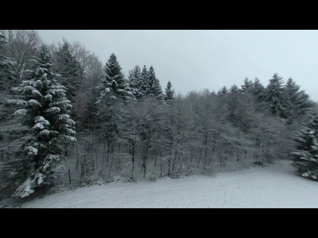 FPV flight through snowy trees, reupload, VR180-3D