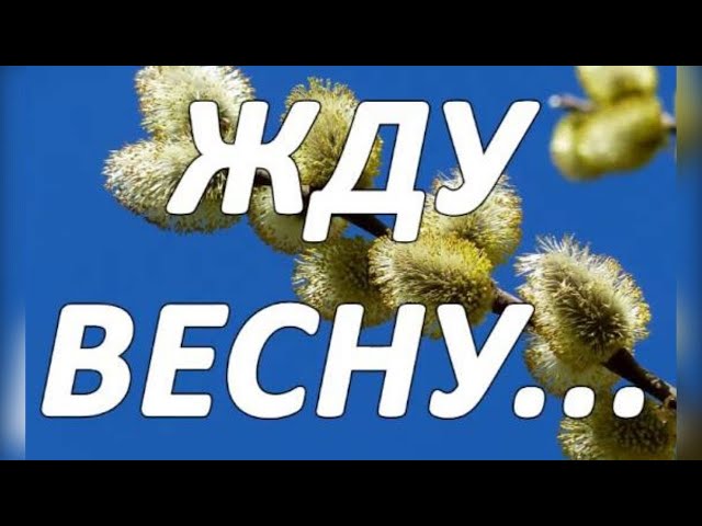 Осенью я снова жду весну... - Виталий Русавук (Пусть ещё куражится зима)