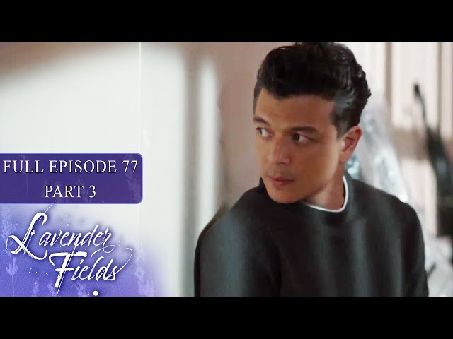 Episode 77 | Part 3 of 4 | Lavender Fields | Jodi Sta. Maria, Jericho Rosales