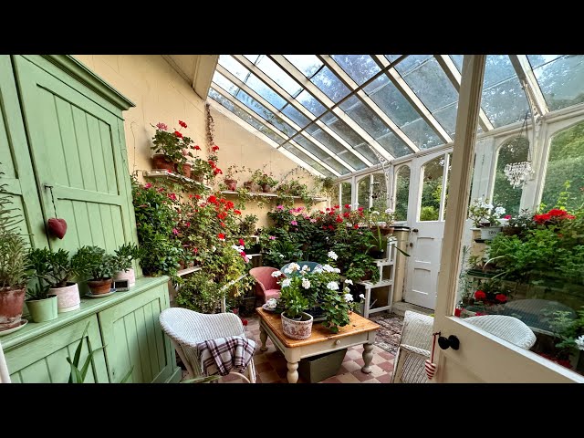 Conservatory Garden Tidy Up | Something Is Better Than Nothing #conservatory #indoorgardening