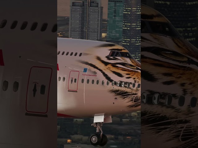 Boeing 747with tiger liver #travel#boeing747#airplane#jpinternational