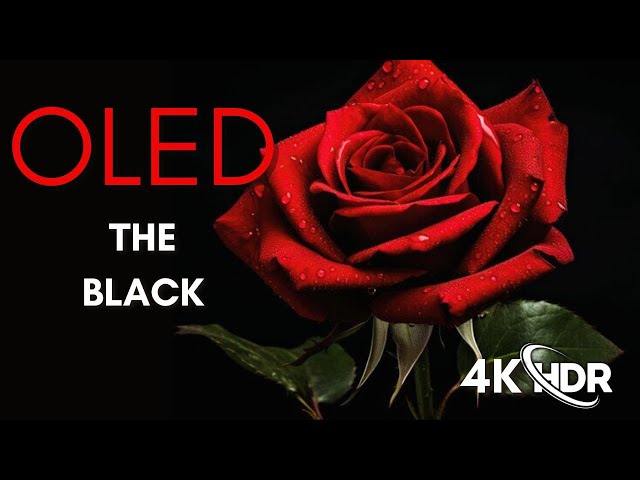 The Black OLED Demo 4K HDR 60fps, Ultra HD, Dolby Vision™