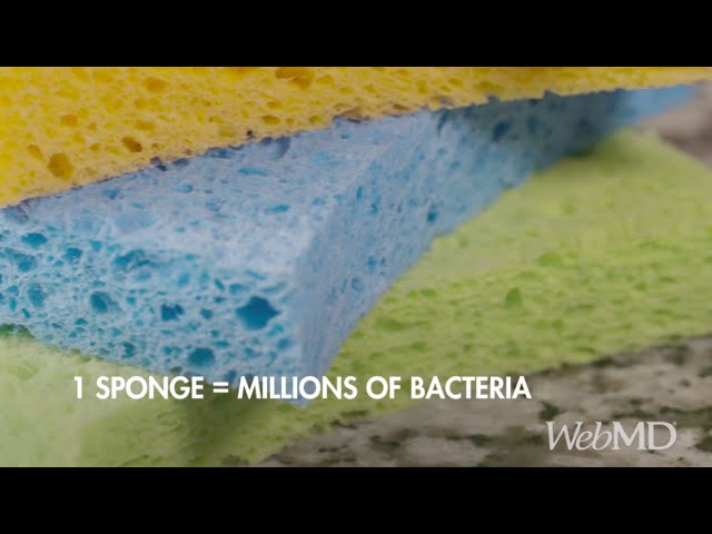 The Dirt on your Kitchen Sponge | WebMD