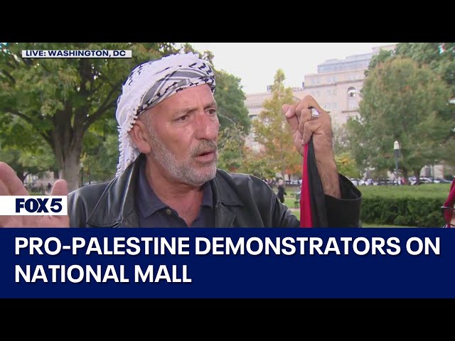 Pro-Palestine demonstrators on National Mall