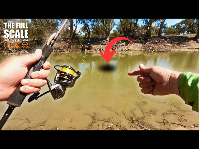 Carp Fishing With Soft Plastics In Australia | The Full Scale