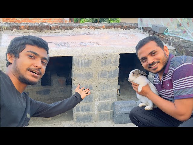 Dream Come True: Pura House for Pets.            Pets Vlog Pet House