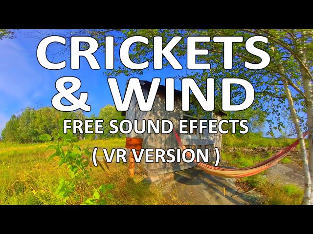 Crickets & Wind | FREE Video Footage & Sound Effects | Virtual Reality / VR180 Version