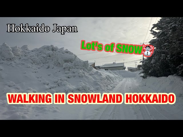 WALKING TOUR IN SNOWLAND! Life in Hokkaido Japan. #hokkaido #trending