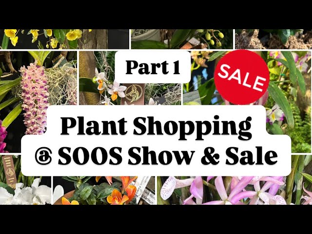 Plant Shopping | SOOS Show & Sale ( Uncommon Plants at great prices)