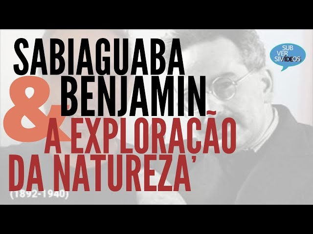 Sabiaguaba, Benjamin & a exploração da natureza