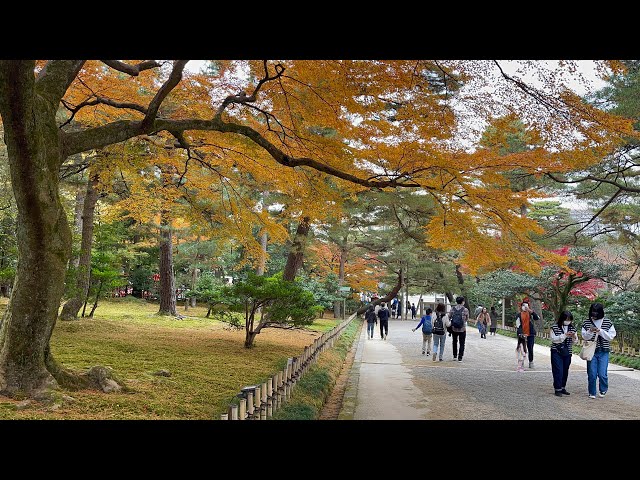 [4K] Walking in the beautiful Japanese garden|| the famous Ken-roku-en兼六園 part 1