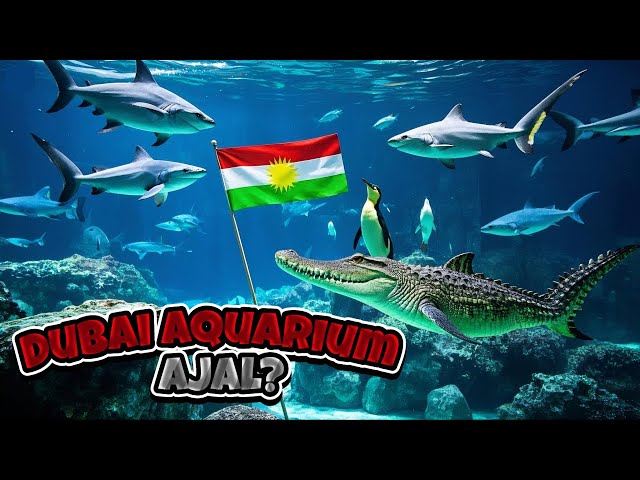 Haywan an Ajal? Dubai Aquarium - Kurdi (4K)