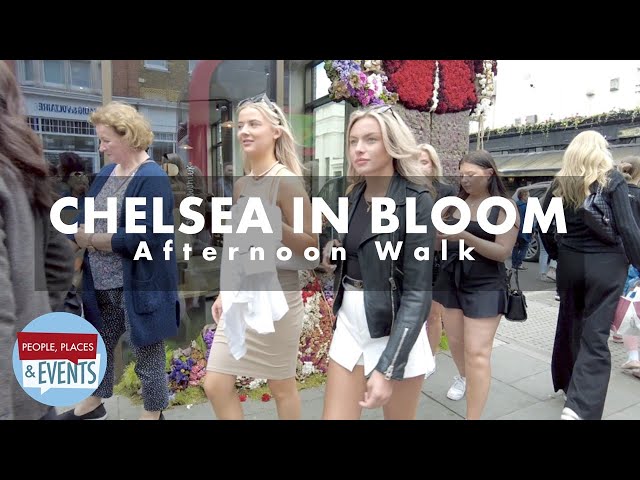 Chelsea In Bloom 2022 | London UK | A Walking Tour - With Captions/Subtitles