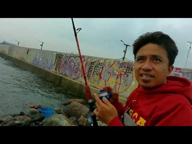 Balik Lagi ke Muara Baru ,Karena Masih Penasaran  ? #adventure #lobsterpetualang #Angler #fishingpro