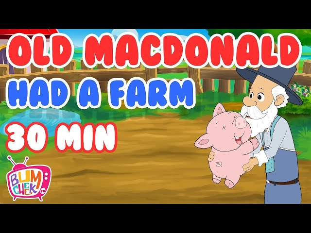 Old MacDonald Had A Farm Song | 30 Min Non-Stop | Popular Nursery Rhymes & Kids Songs | Bumcheek TV