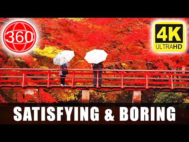 [4K 360°] The Most Satisfying and Boring Video, Utsunomiya, Tochigi Prefecture || JAPAN 360