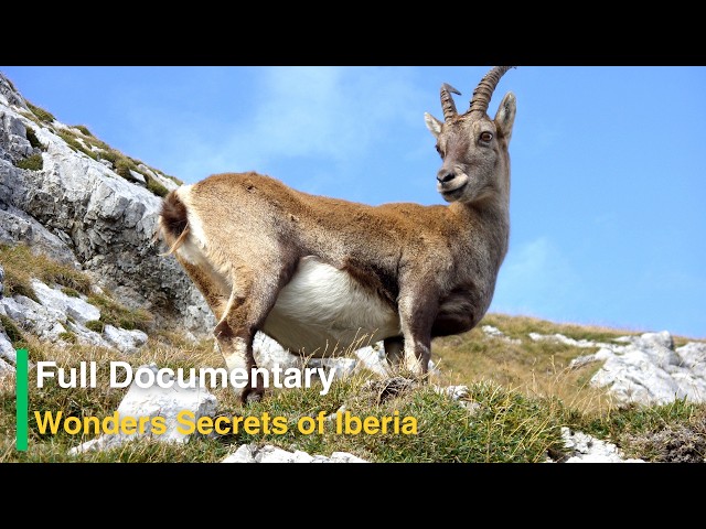 Documentary Discover Iberia’s Hidden Wonders Secrets of Iberia Spain & Portugal