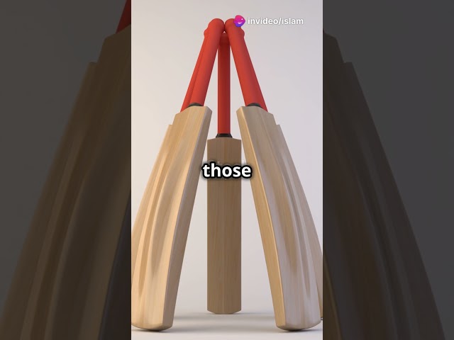 The Evolution of the Cricket Bat: From Willow to Wonder